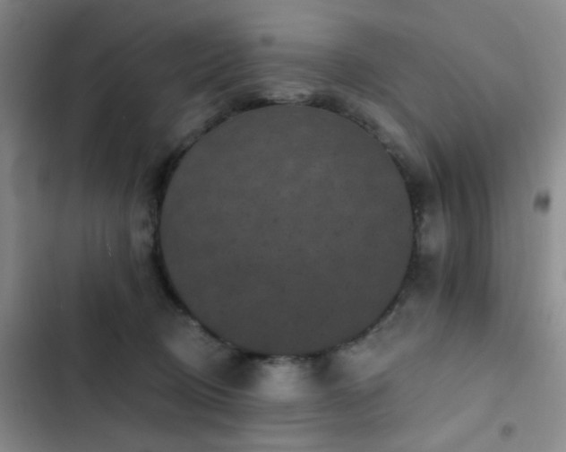 X0000102830370200808181330