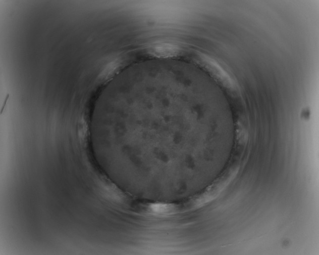 X0000102830371200808181330