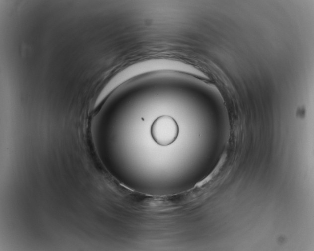 X0000102830372200808181330