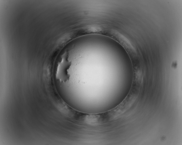 X0000102830373200808181330