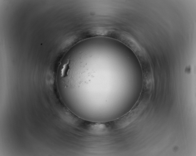 X0000102830374200808181330