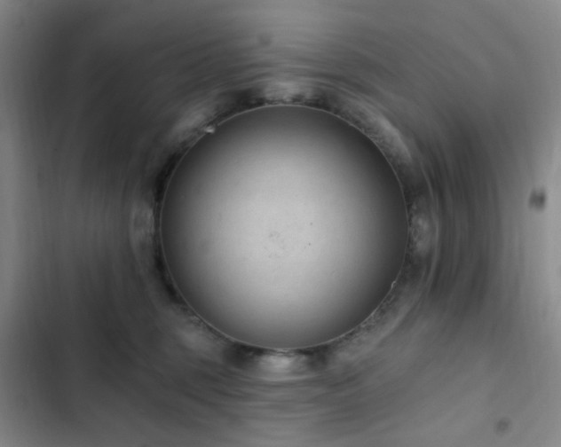 X0000102830375200808181330