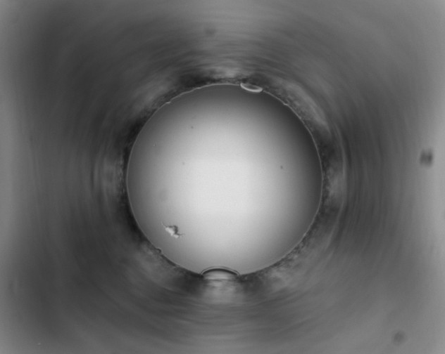 X0000102830376200808181330