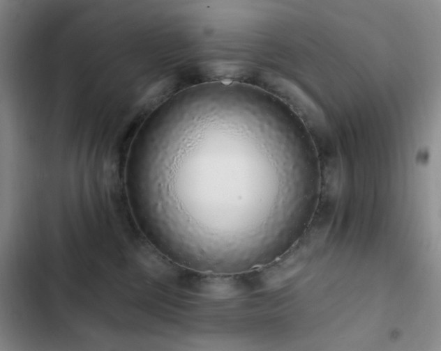 X0000102830377200808181330