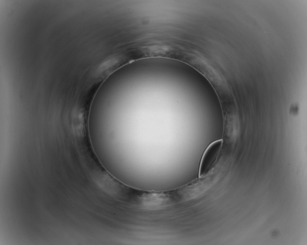 X0000102830378200808181330