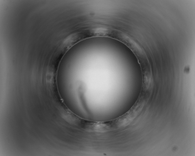 X0000102830379200808181330