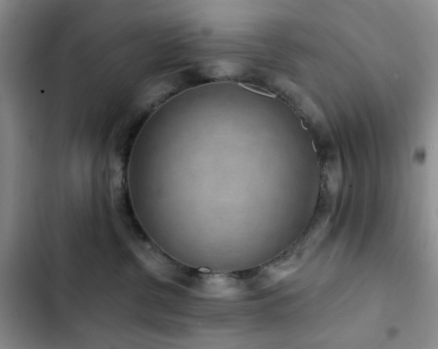 X0000102830380200808181330