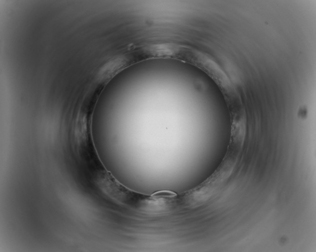 X0000102830381200808181330