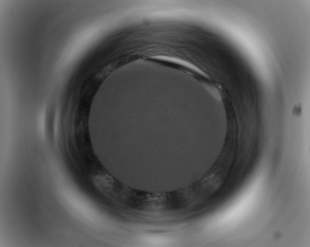 X0000102830382200808181330