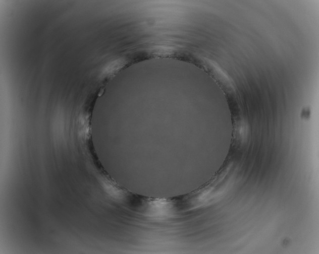 X0000102830383200808181330