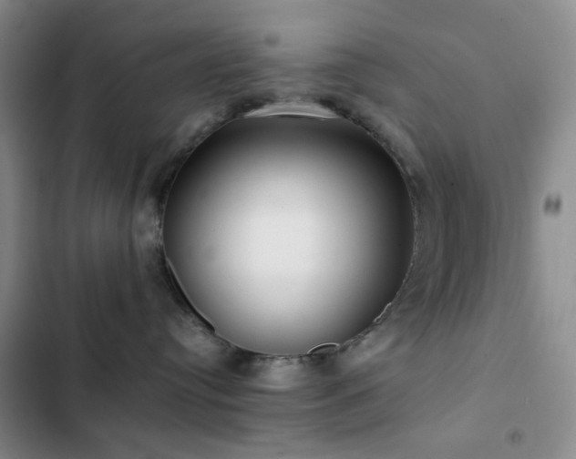 X0000102830384200808181330