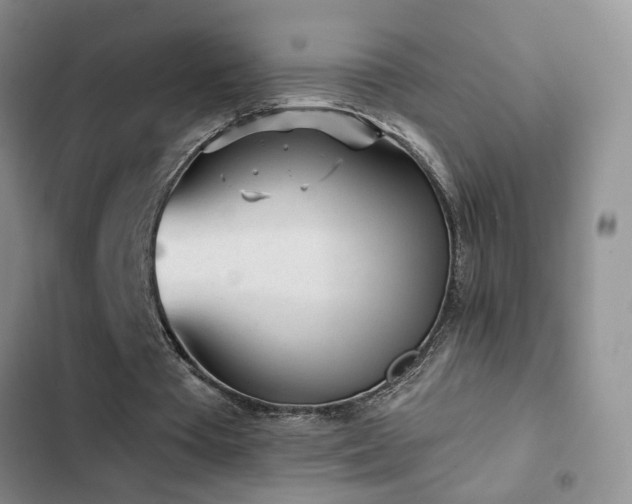 X0000102830385200808181329