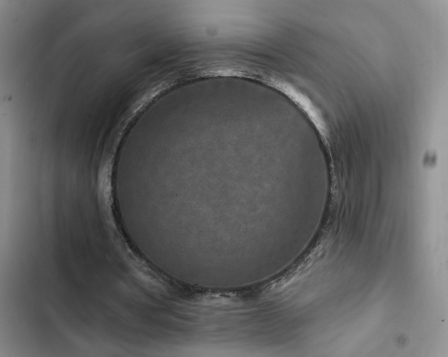 X0000102830386200808181329