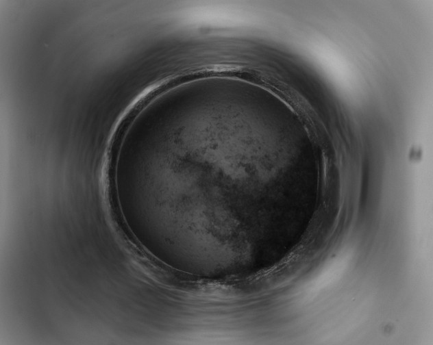 X0000102830387200808181329