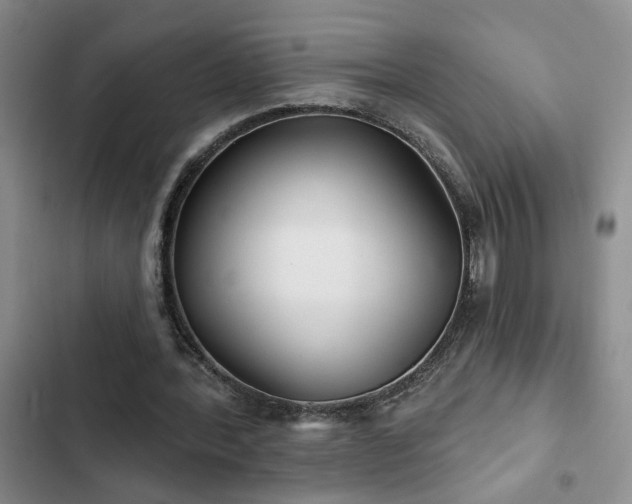 X0000102830388200808181329