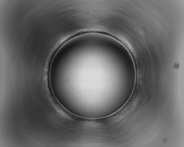 X0000102830389200808181329