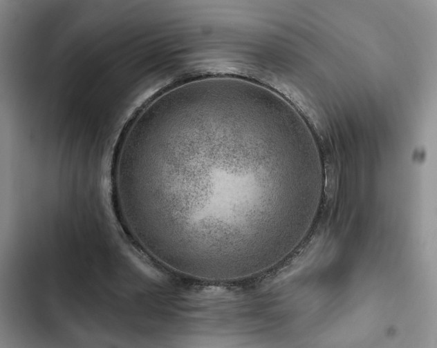 X0000102830390200808181329