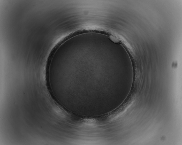 X0000102830391200808181329