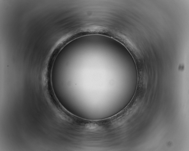 X0000102830392200808181329