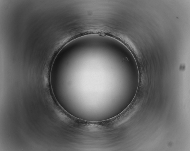 X0000102830393200808181329