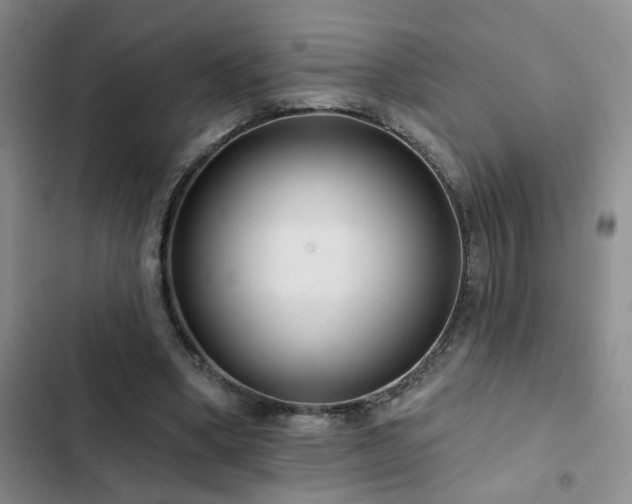 X0000102830394200808181329