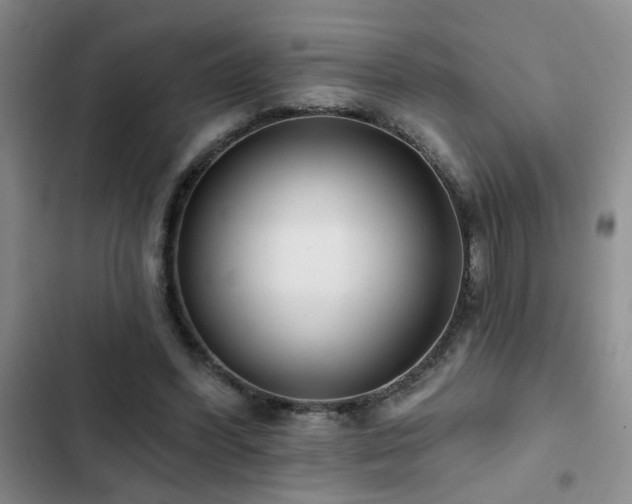 X0000102830396200808181329