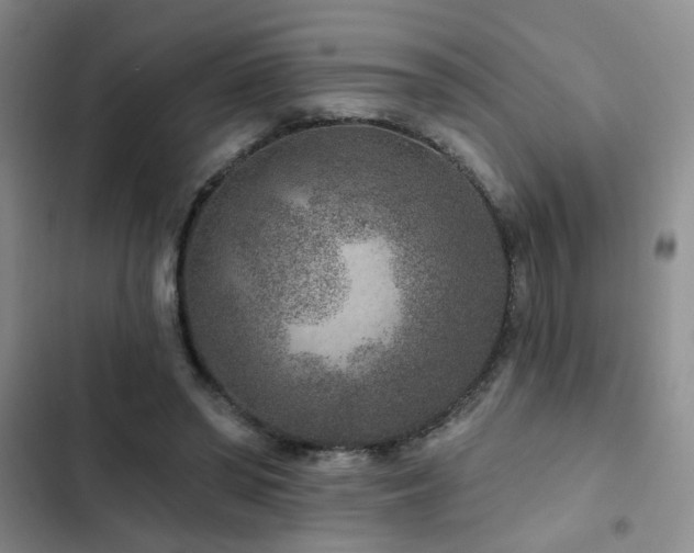 X0000102830398200808181329