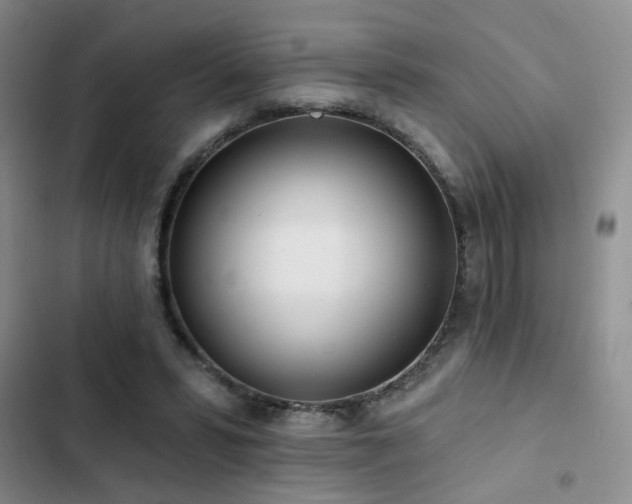 X0000102830399200808181329