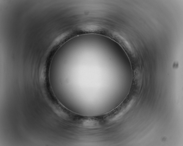 X0000102830400200808181329