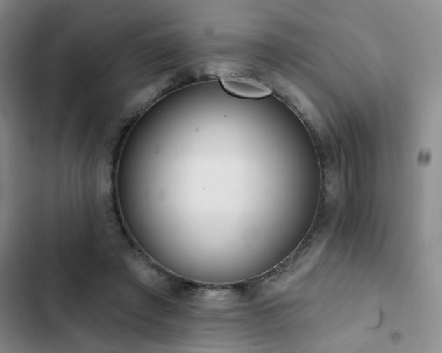 X0000102830401200808181329