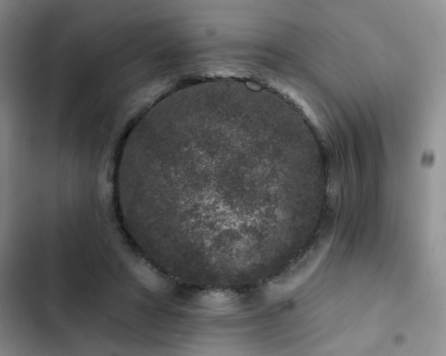 X0000102830402200808181329