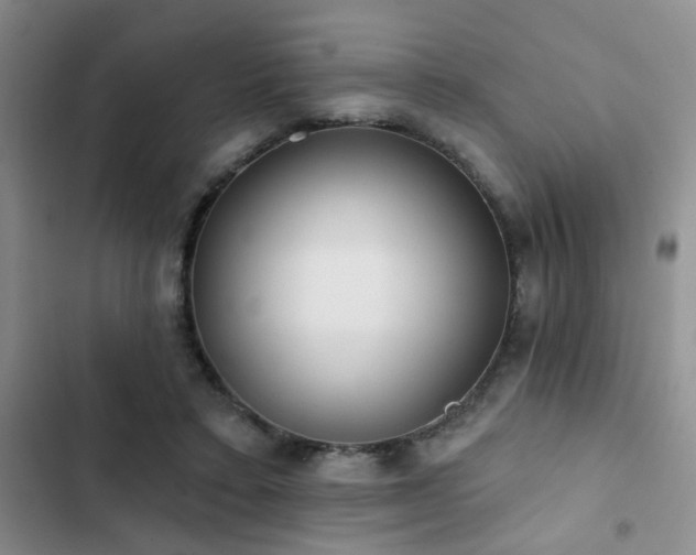 X0000102830403200808181329