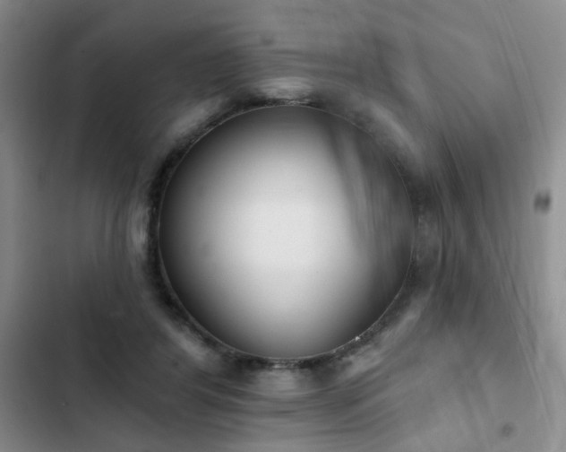 X0000102830404200808181329