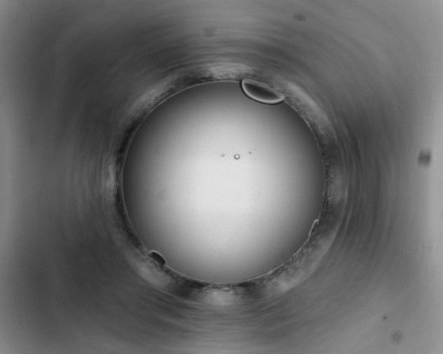 X0000102830405200808181329