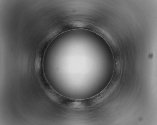 X0000102830406200808181329