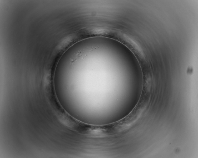 X0000102830407200808181329