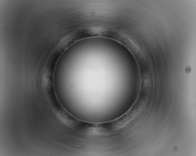 X0000102830408200808181329