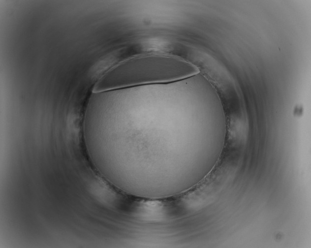 X0000102830409200808181329