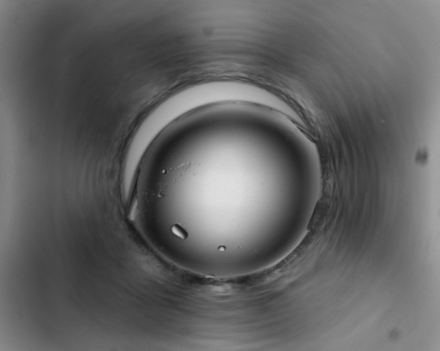 X0000102830411200808181329