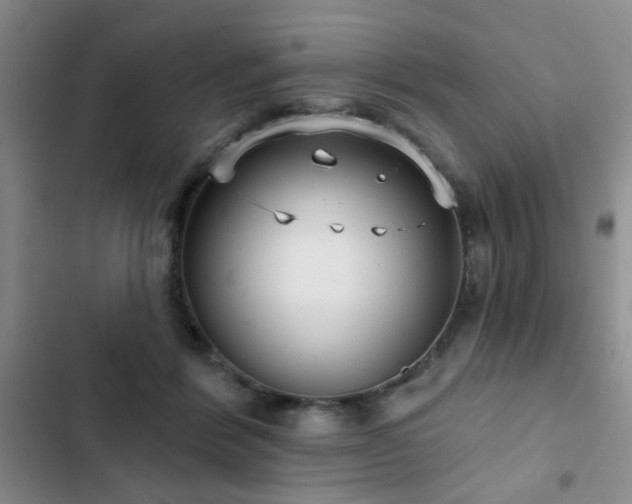 X0000102830412200808181329