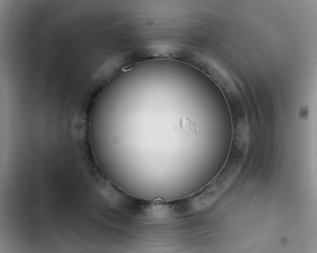 X0000102830413200808181329