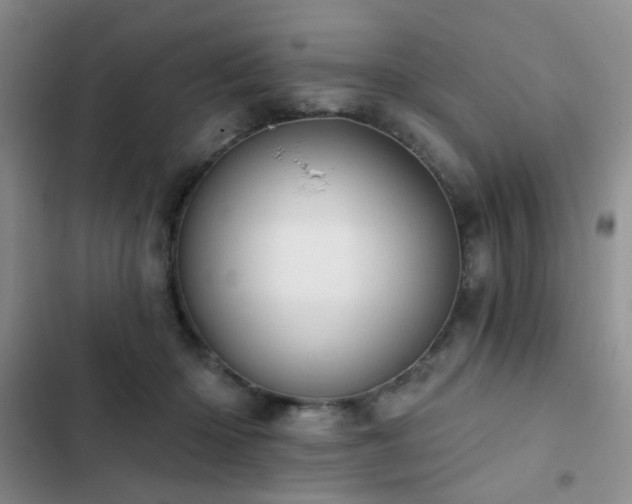 X0000102830414200808181329