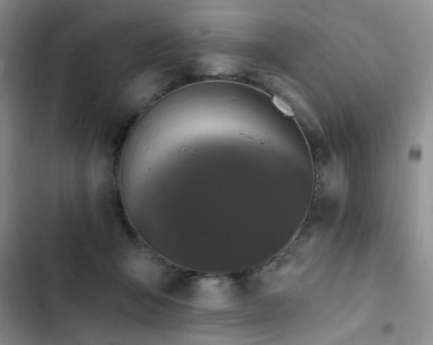 X0000102830415200808181329