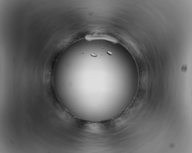 X0000102830417200808181329