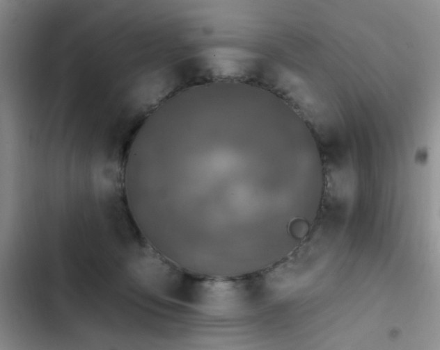 X0000102830419200808181329