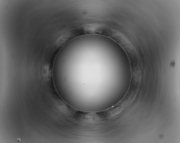 X0000102830420200808181329