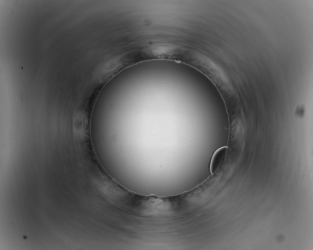 X0000102830421200808181329