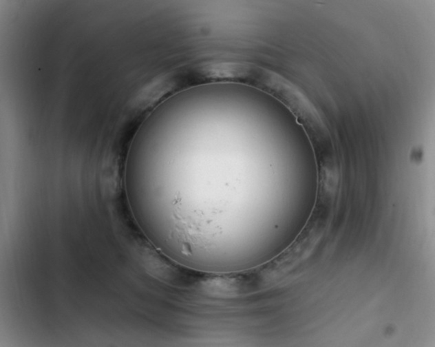 X0000102830422200808181329