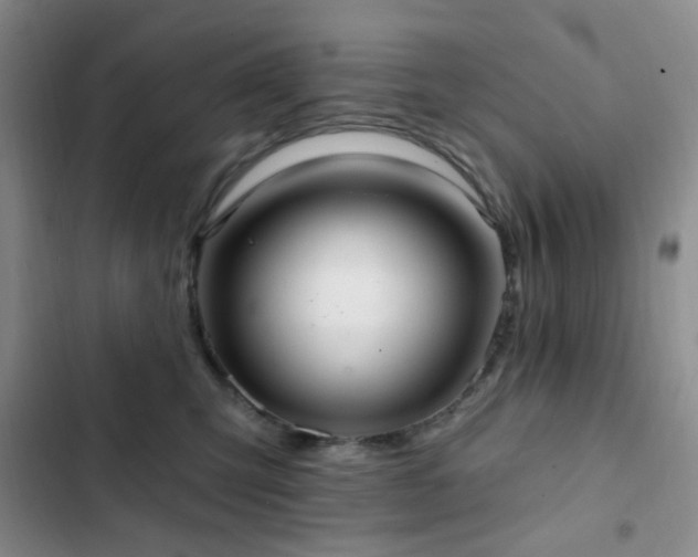 X0000102830423200808181329