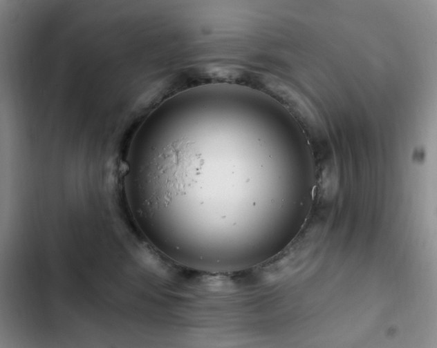 X0000102830424200808181329